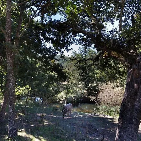 Horská chata Domus De Janas Immerso Nella Natura